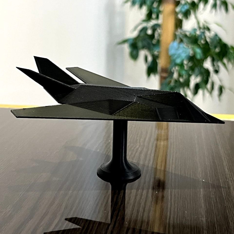 ماکت هواپیمای F-117 Nighthawk
