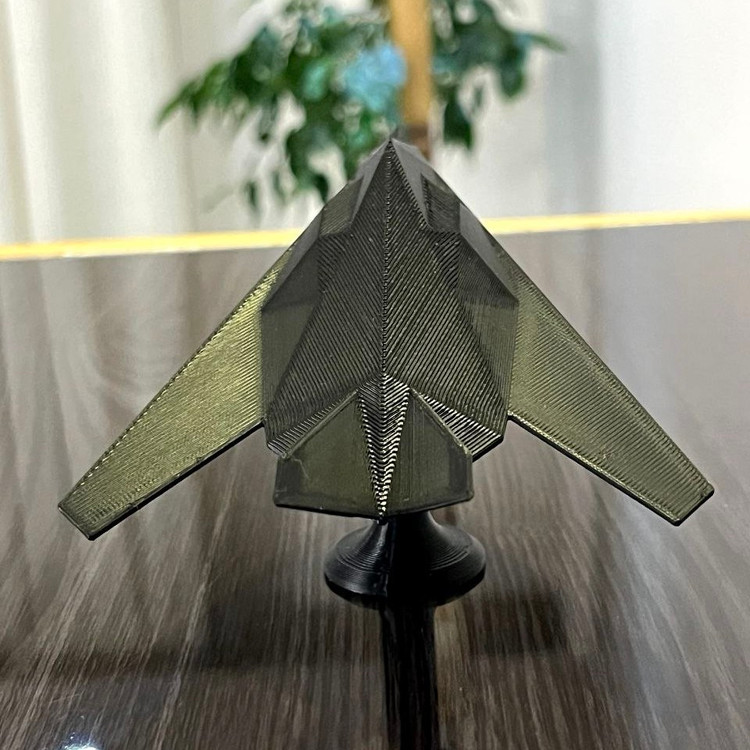 ماکت هواپیمای F-117 Nighthawk